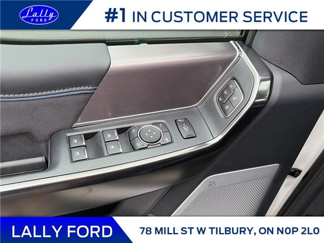 2026 Ford F-250 Platinum (Stk: LFFF01658) in Tilbury - Image 6 of 15
