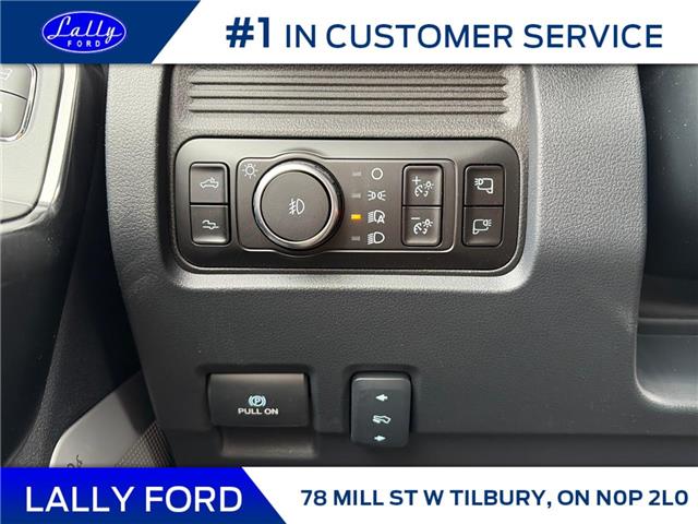 2026 Ford F-250 Platinum (Stk: LFFF01658) in Tilbury - Image 9 of 15