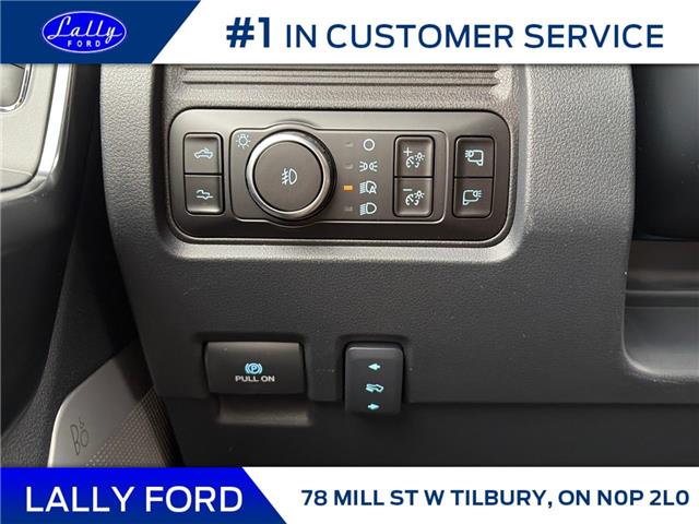 2026 Ford F-250 Platinum (Stk: LFFF01638) in Tilbury - Image 9 of 15