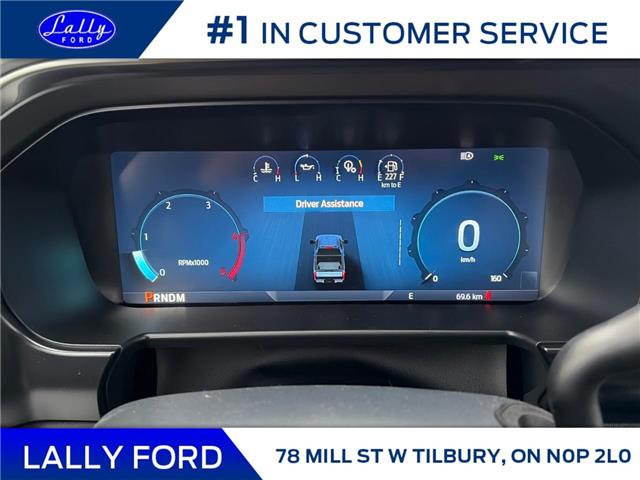 2026 Ford F-250 Platinum (Stk: LFFF01638) in Tilbury - Image 10 of 15