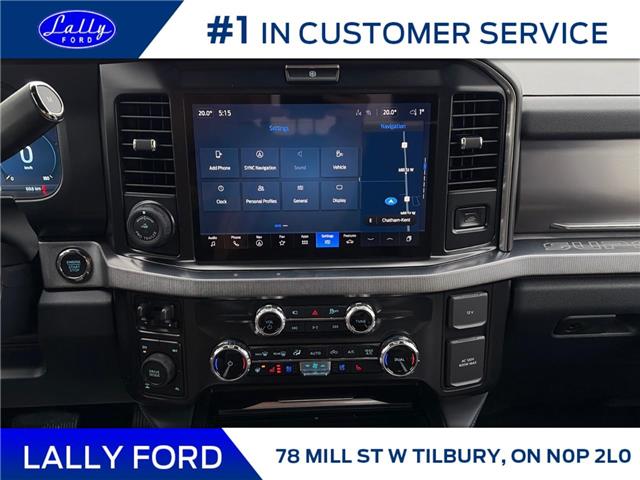 2026 Ford F-250 Platinum (Stk: LFFF01638) in Tilbury - Image 13 of 15