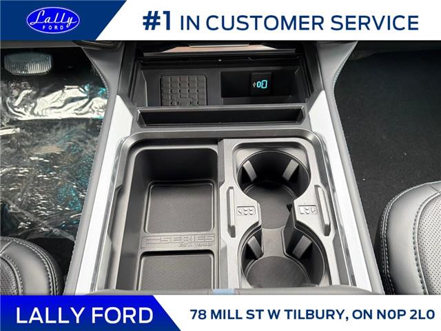 2026 Ford F-250 Platinum (Stk: LFFF01638) in Tilbury - Image 14 of 15