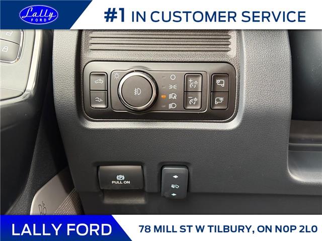 2026 Ford F-250 Platinum (Stk: LFFF01549) in Tilbury - Image 9 of 15