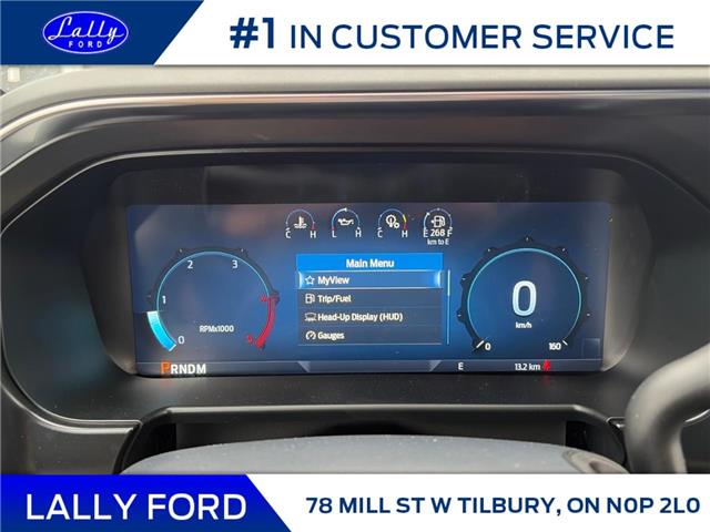 2026 Ford F-250 Platinum (Stk: LFFF01562) in Tilbury - Image 10 of 15
