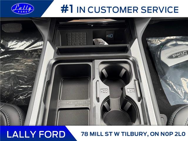 2026 Ford F-250 Platinum (Stk: LFFF01562) in Tilbury - Image 14 of 15