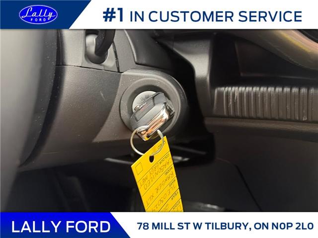 2026 Ford Ranger XLT (Stk: LFRA01555) in Tilbury - Image 12 of 15