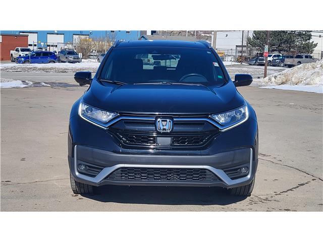 2021 Honda CR-V Sport (Stk: TL6456) in Saint John - Image 10 of 13