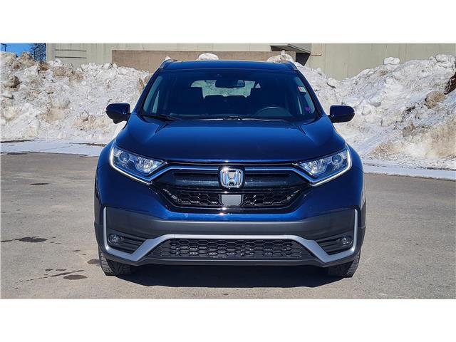 2021 Honda CR-V EX-L (Stk: TL0701) in Saint John - Image 10 of 13