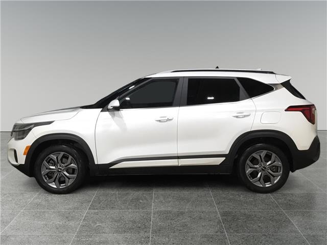 2024 Kia Seltos EX (Stk: N26111A) in Sault Ste. Marie - Image 2 of 15