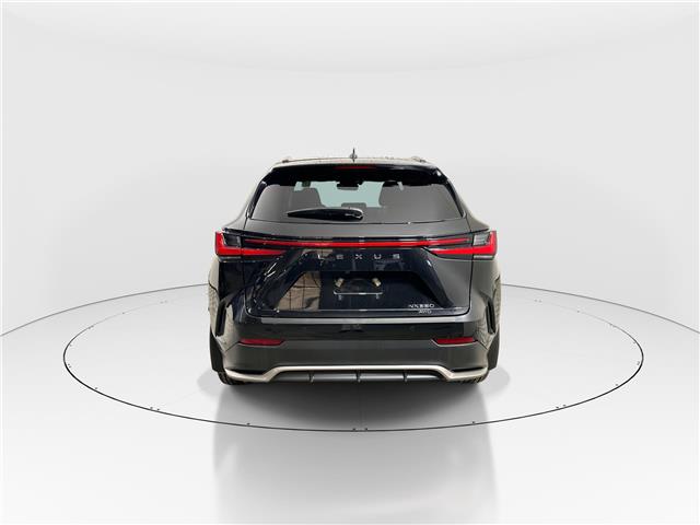 2026 Lexus NX 350  (Stk: 14112151) in Markham - Image 6 of 8