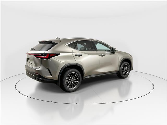 2026 Lexus NX 350h  (Stk: 14112145) in Markham - Image 7 of 8