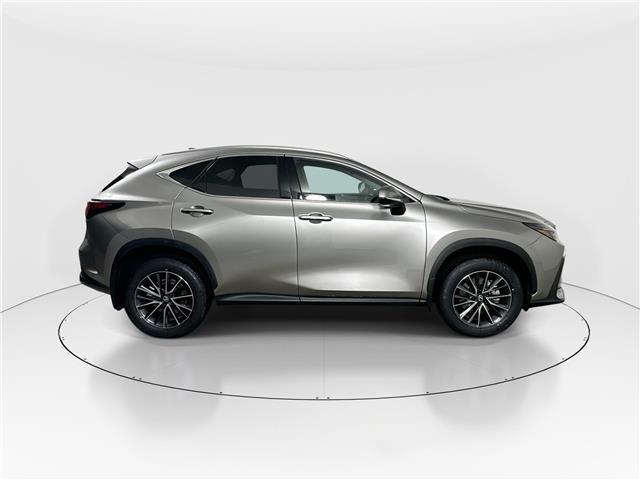2026 Lexus NX 350h  (Stk: 14112145) in Markham - Image 8 of 8