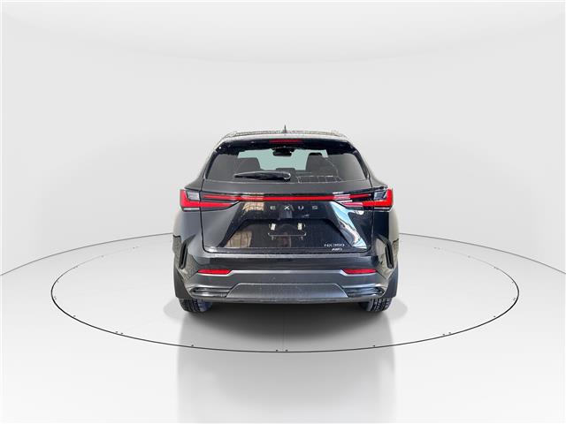 2026 Lexus NX 350  (Stk: 15105587) in Richmond Hill - Image 7 of 10