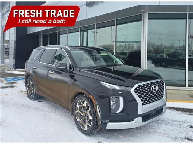 2021 Hyundai Palisade Ultimate Calligraphy w/Beige Interior (Stk: 351844) in Medicine Hat - Image 1 of 1