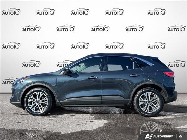 2022 Ford Escape SEL Hybrid (Stk: A260171DT) in Hamilton - Image 3 of 19