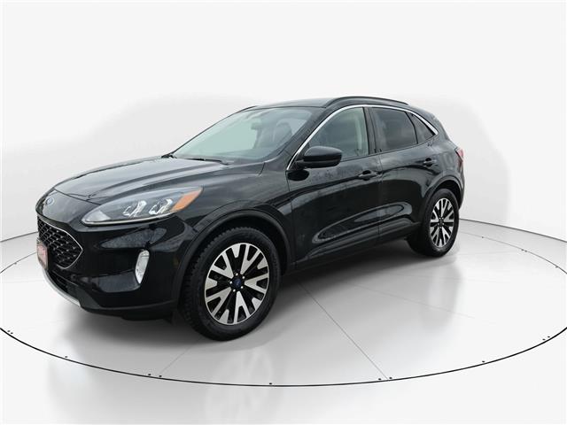 2020 Ford Escape SEL (Stk: 10U6452) in Markham - Image 4 of 31 2020 Ford Escape SEL (Stk: 10U6452) in Markham - Image 4 of 31