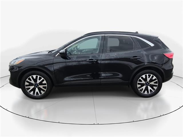 2020 Ford Escape SEL (Stk: 10U6452) in Markham - Image 5 of 31 2020 Ford Escape SEL (Stk: 10U6452) in Markham - Image 5 of 31