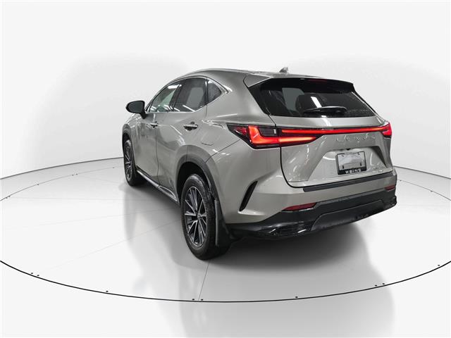 2025 Lexus NX 350h Base (Stk: 10U6417) in Markham - Image 6 of 34 2025 Lexus NX 350h Base (Stk: 10U6417) in Markham - Image 6 of 34