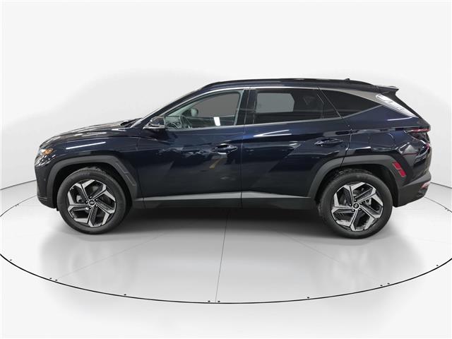 2024 Hyundai Tucson Hybrid Ultimate (Stk: 10U6461) in Markham - Image 5 of 34