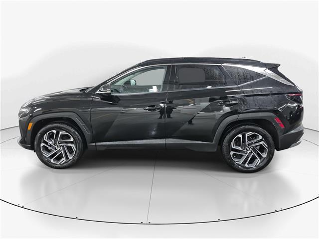 2025 Hyundai Tucson Plug-In Hybrid Ultimate (Stk: 10U6449) in Markham - Image 5 of 34