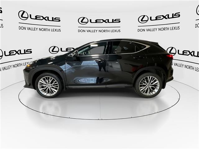 2024 Lexus NX 350  (Stk: 14112006A) in Markham - Image 6 of 29