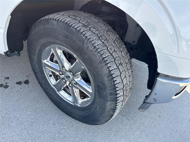 2024 Ford F-150 XLT (Stk: KE05393K) in Cranbrook - Image 13 of 20