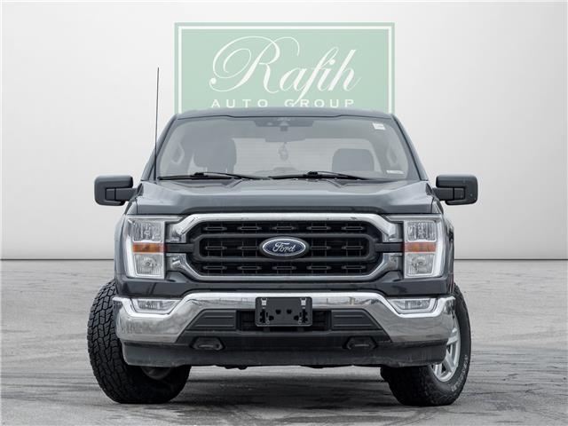 2021 Ford F-150 XLT (Stk: P1069) in Mississauga - Image 3 of 11