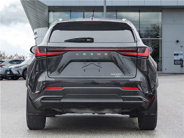 2024 Lexus NX 250  (Stk: 15105499A) in Richmond Hill - Image 5 of 21