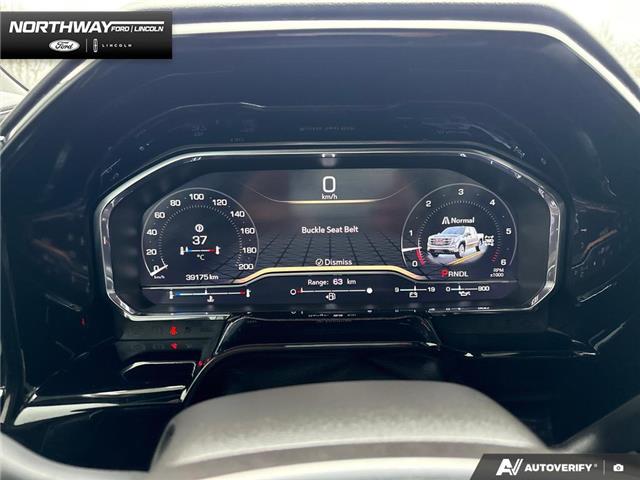 2024 GMC Sierra 1500 Elevation (Stk: P11744) in Brantford - Image 15 of 25