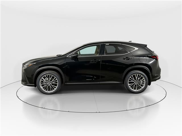 2026 Lexus NX 350  (Stk: 15105598) in Richmond Hill - Image 4 of 18