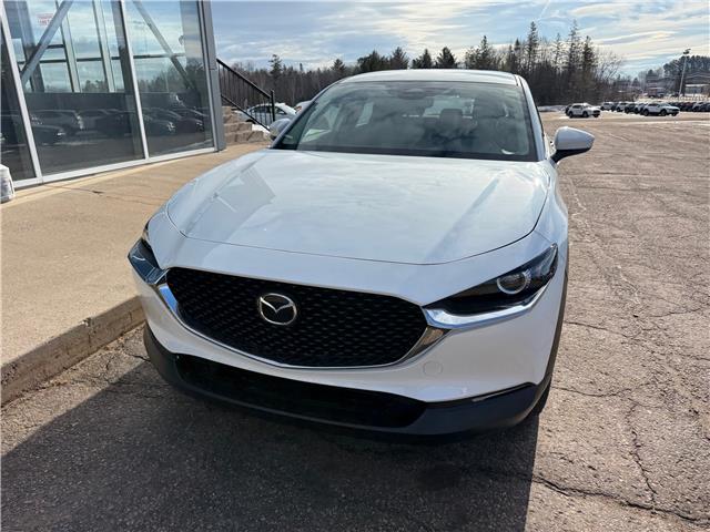 2026 Mazda CX-30 GX (Stk: 226-13) in Pembroke - Image 2 of 9