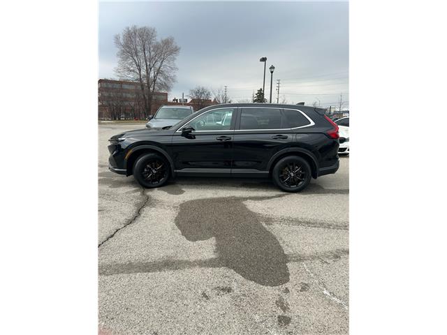 2025 Honda CR-V Hybrid EX-L (Stk: 262489P) in Richmond Hill - Image 13 of 19