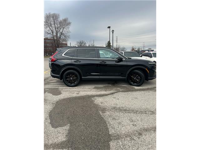 2025 Honda CR-V Hybrid EX-L (Stk: 262489P) in Richmond Hill - Image 12 of 19