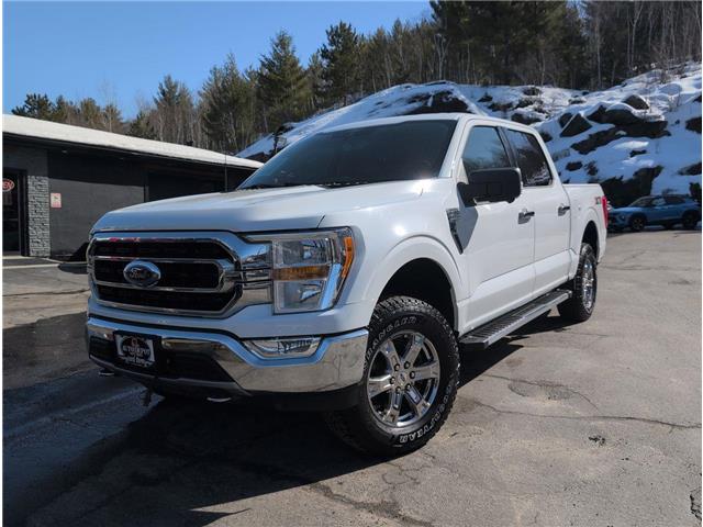 2021 Ford F-150 XLT (Stk: 14783) in Sudbury - Image 1 of 17