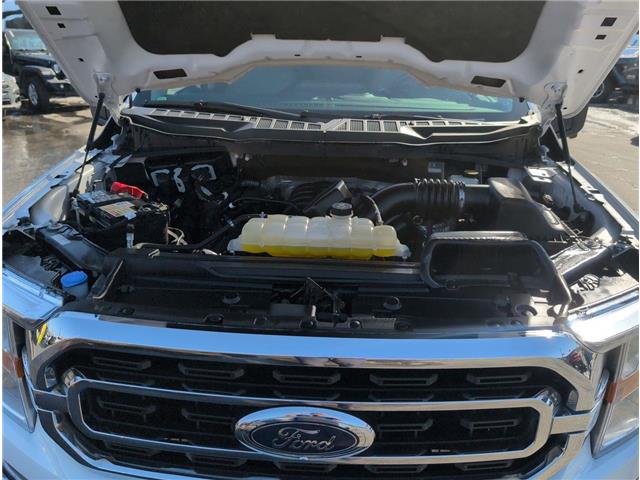 2021 Ford F-150 XLT (Stk: 14783) in Sudbury - Image 17 of 17 2021 Ford F-150 XLT (Stk: 14783) in Sudbury - Image 17 of 17