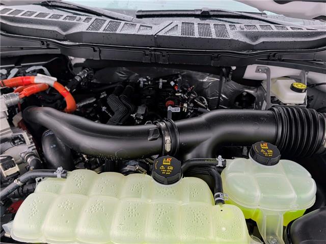 2026 Ford F-150 XLT (Stk: F1434) in Miramichi - Image 13 of 13