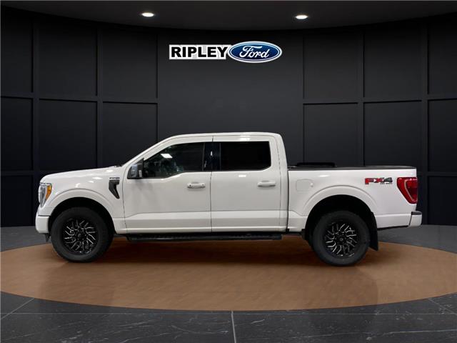 2022 Ford F-150 XLT (Stk: 26044A) in Melfort - Image 8 of 14