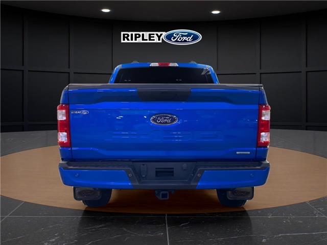 2021 Ford F-150 XL (Stk: 26020A) in Melfort - Image 7 of 19