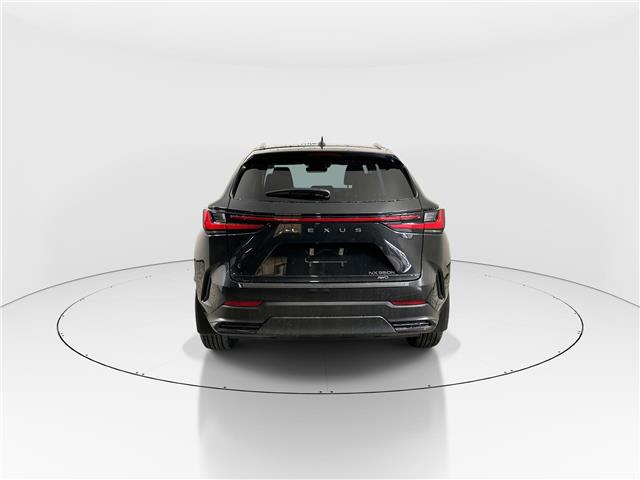 2026 Lexus NX 350h  (Stk: 14112187) in Markham - Image 6 of 19