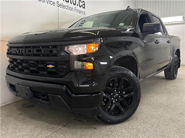 2024 Chevrolet Silverado 1500 Custom (Stk: 43666J) in Belleville - Image 3 of 31