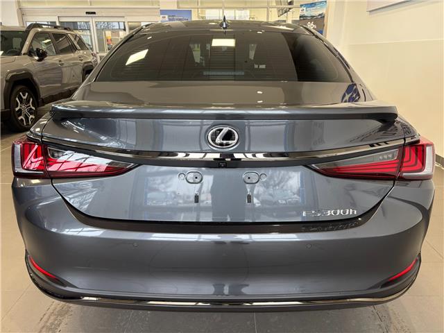 2024 Lexus ES 300h Base (Stk: 251275A) in Mississauga - Image 6 of 20 2024 Lexus ES 300h Base (Stk: 251275A) in Mississauga - Image 6 of 20