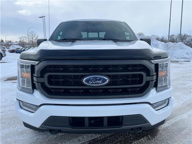 2021 Ford F-150 XLT (Stk: A21003) in Hague - Image 3 of 13