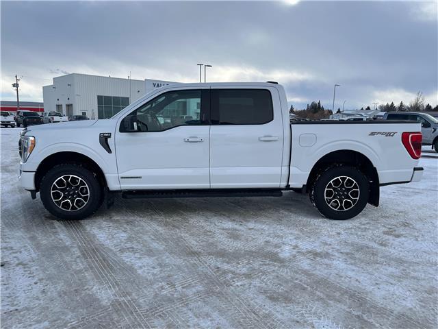 2021 Ford F-150 XLT (Stk: A21003) in Hague - Image 5 of 13