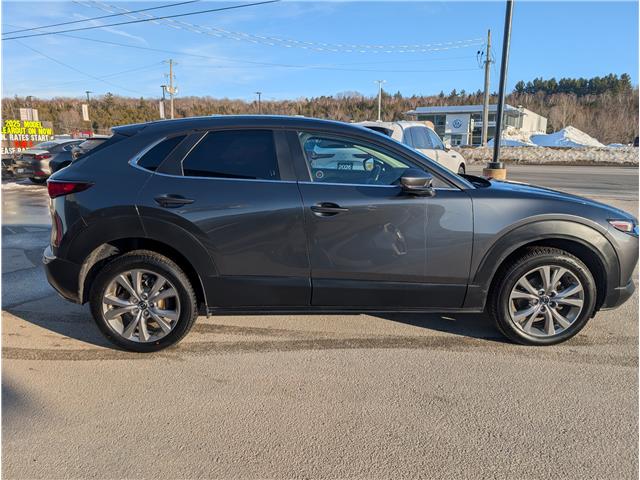 2023 Mazda CX-30 GS (Stk: 03677P) in Owen Sound - Image 6 of 20