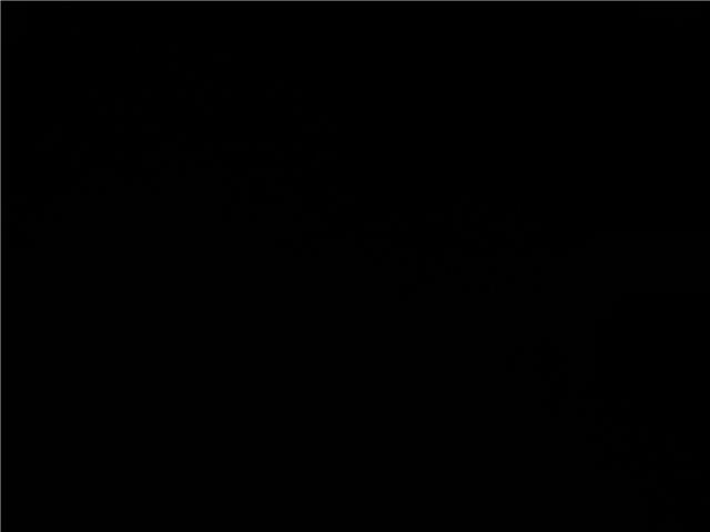 2009 Ford Ranger Sport (Stk: 16747-3) in Wyoming - Image 15 of 15