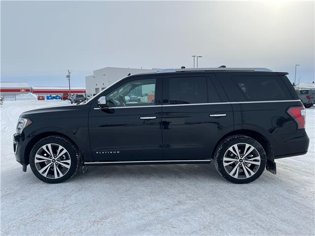 2020 Ford Expedition Platinum (Stk: A26064) in Hague - Image 5 of 16
