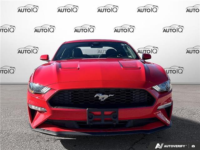 2021 Ford Mustang EcoBoost (Stk: P7325X) in Oakville - Image 2 of 24