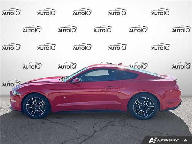 2021 Ford Mustang EcoBoost (Stk: P7325X) in Oakville - Image 3 of 24