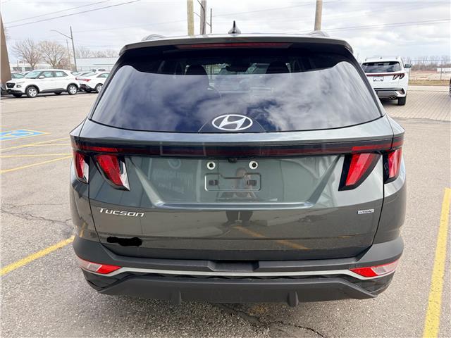2022 Hyundai Tucson Preferred (Stk: T149A) in Chatham - Image 6 of 24