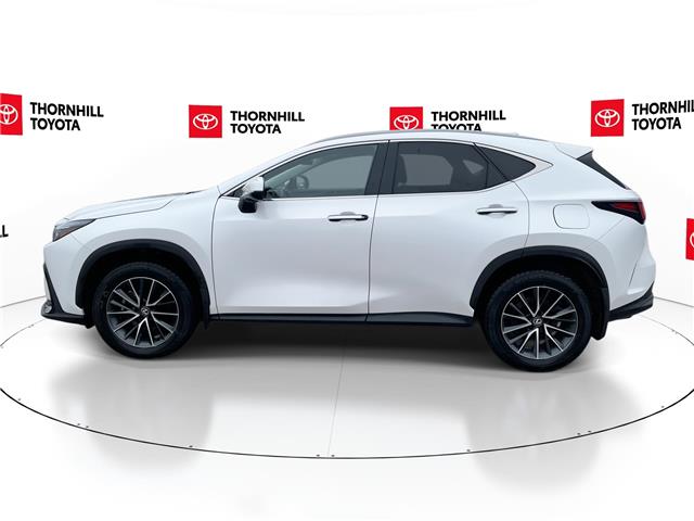 2025 Lexus NX 350h Base (Stk: 12108125A) in Concord - Image 6 of 18
